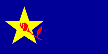 Flag of SDSM